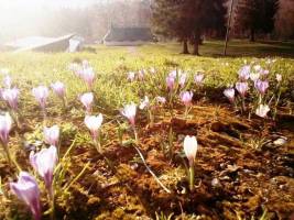 Лйффрей-102042020