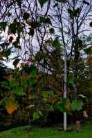 235d538d-ed8b-4135-91c6-9e0ff58b265c