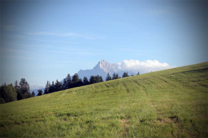 IMG_7284b