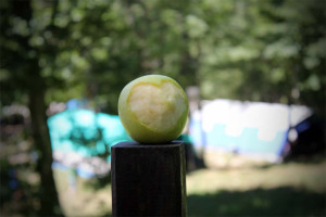 IMG_7336b