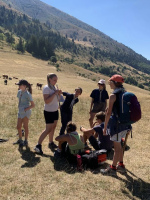 cd678d7f-f39d-4e3c-be77-d8f5401b5df5