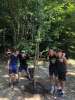 Гинкго билоба – (август 2025 г.)