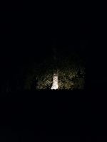 20150729_220727-scaled