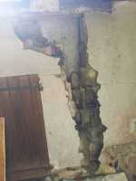 3996fea8-dea2-435f-bae3-d93949904c25