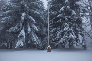 IMG_3893-scaled