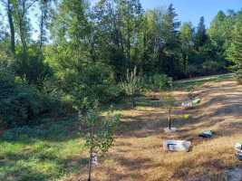 268eec1c-e730-4fea-9a4c-00848162a575