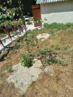 48758e3f-c34d-472f-9b47-d680efa8107a