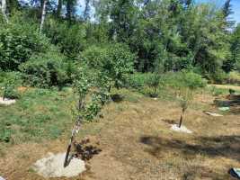 80ea2050-6079-4308-91c3-4d2f265ac490