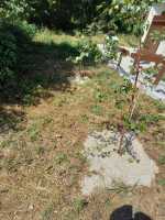 8b61a328-cf49-4204-883f-be926723ca9f