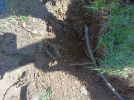 9ff44e5c-6cea-4fe3-96b8-65c45078b91e
